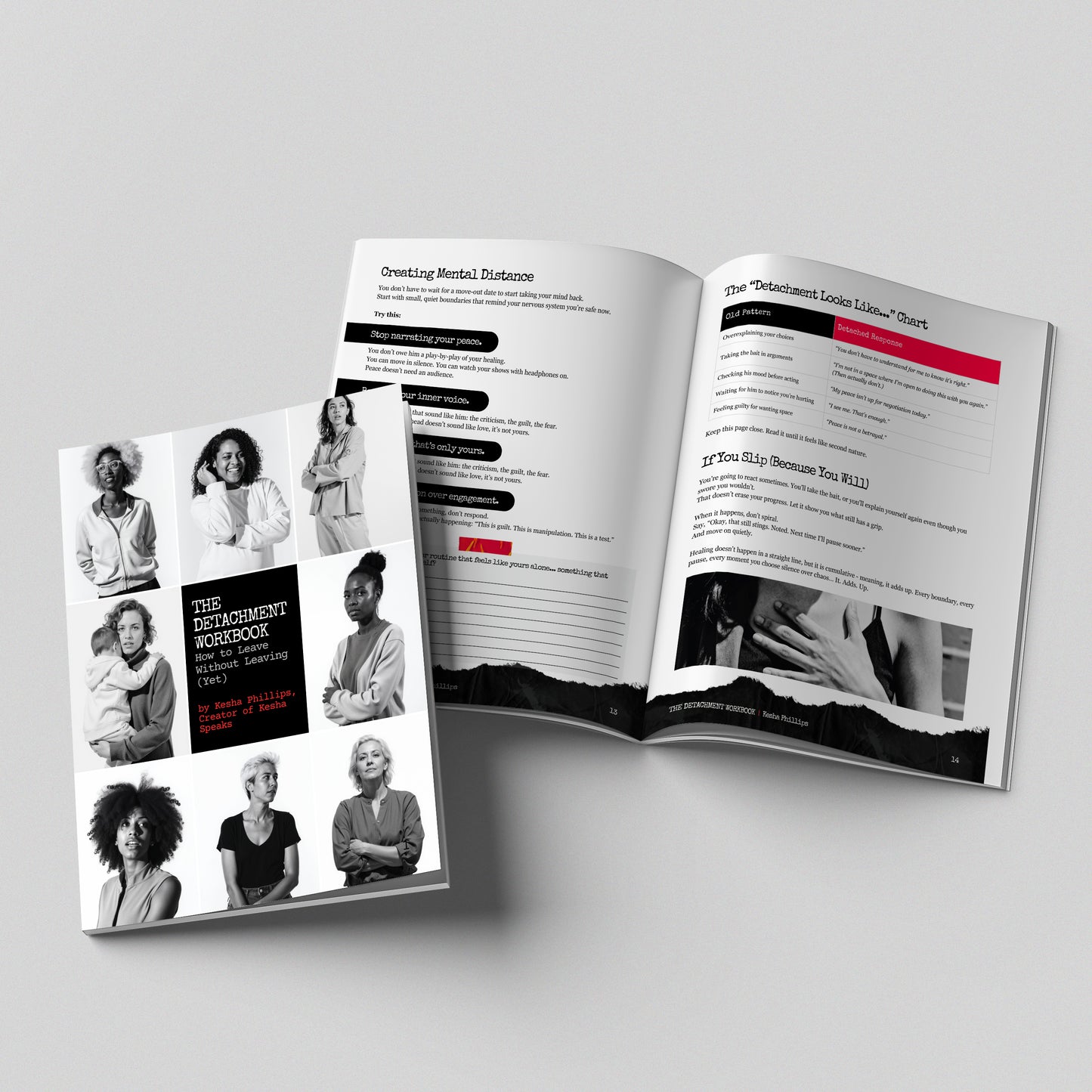 The Detachment Workbook (Paperback)