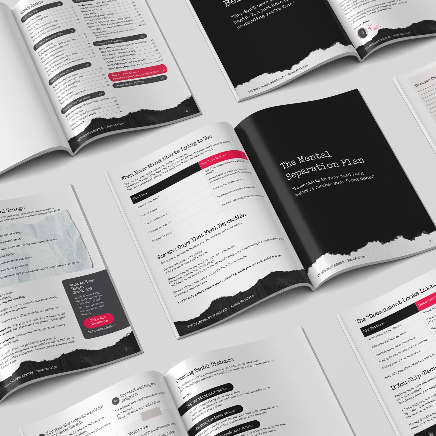 The Detachment Workbook (Paperback)